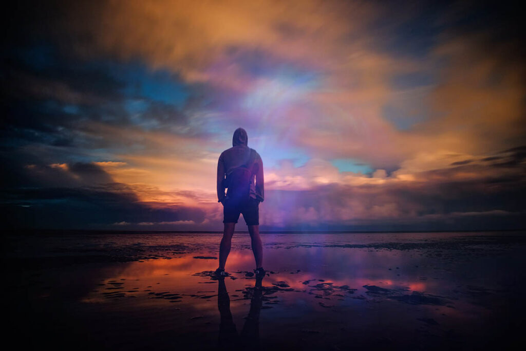 Fight. Image by Zoltan Tasi.